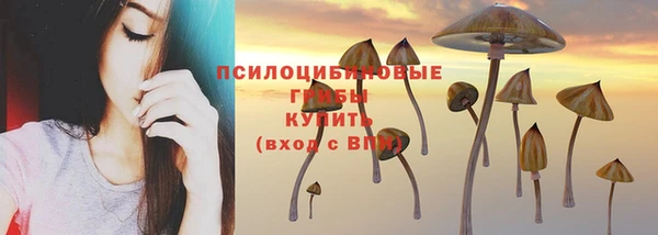 СК Алексин