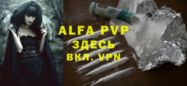 СК Алексин