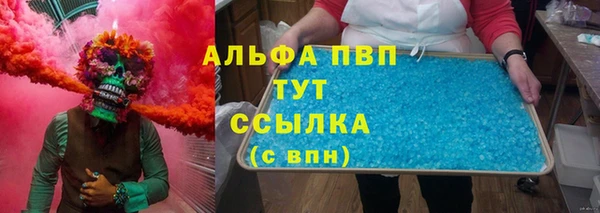 СК Алексин